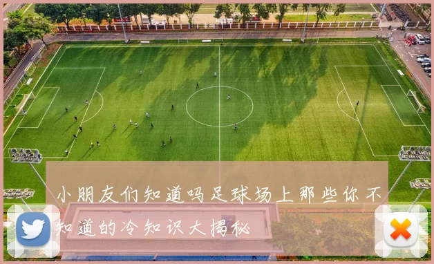 小朋友们知道吗足球场上那些你不知道的冷知识大揭秘