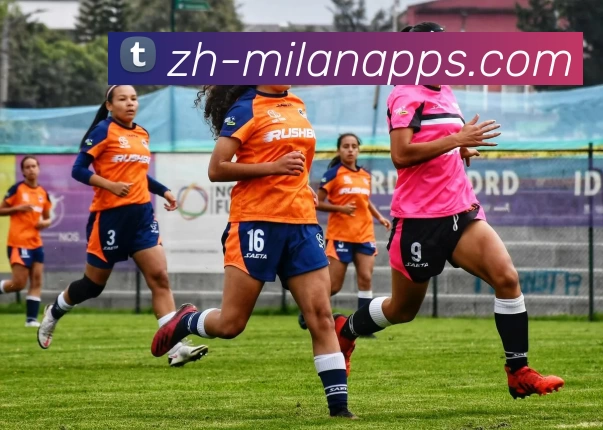 米兰体育品牌故事